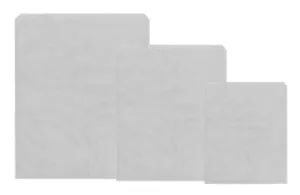 10 x 10 White Sulphite Paper Bags