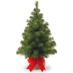 2' WW NobleFir Art Tree