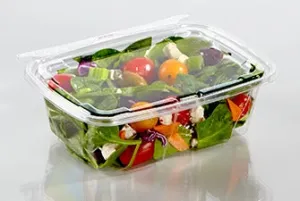 20oz Rectangular Tamper-Evident Container (240 Per Case)