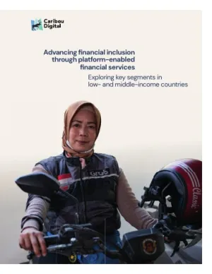 Advancing financial inclusion through platform-enabled financial services