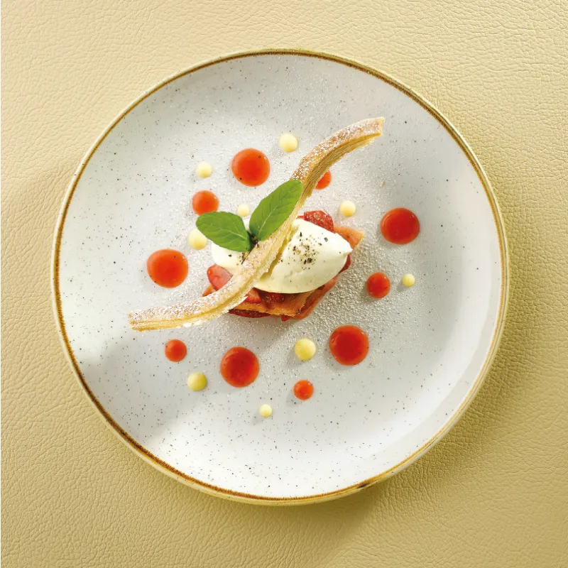 CHURCHILL SUPER VITRIFIED LARGE COUPE PLATE 28.8 CM
