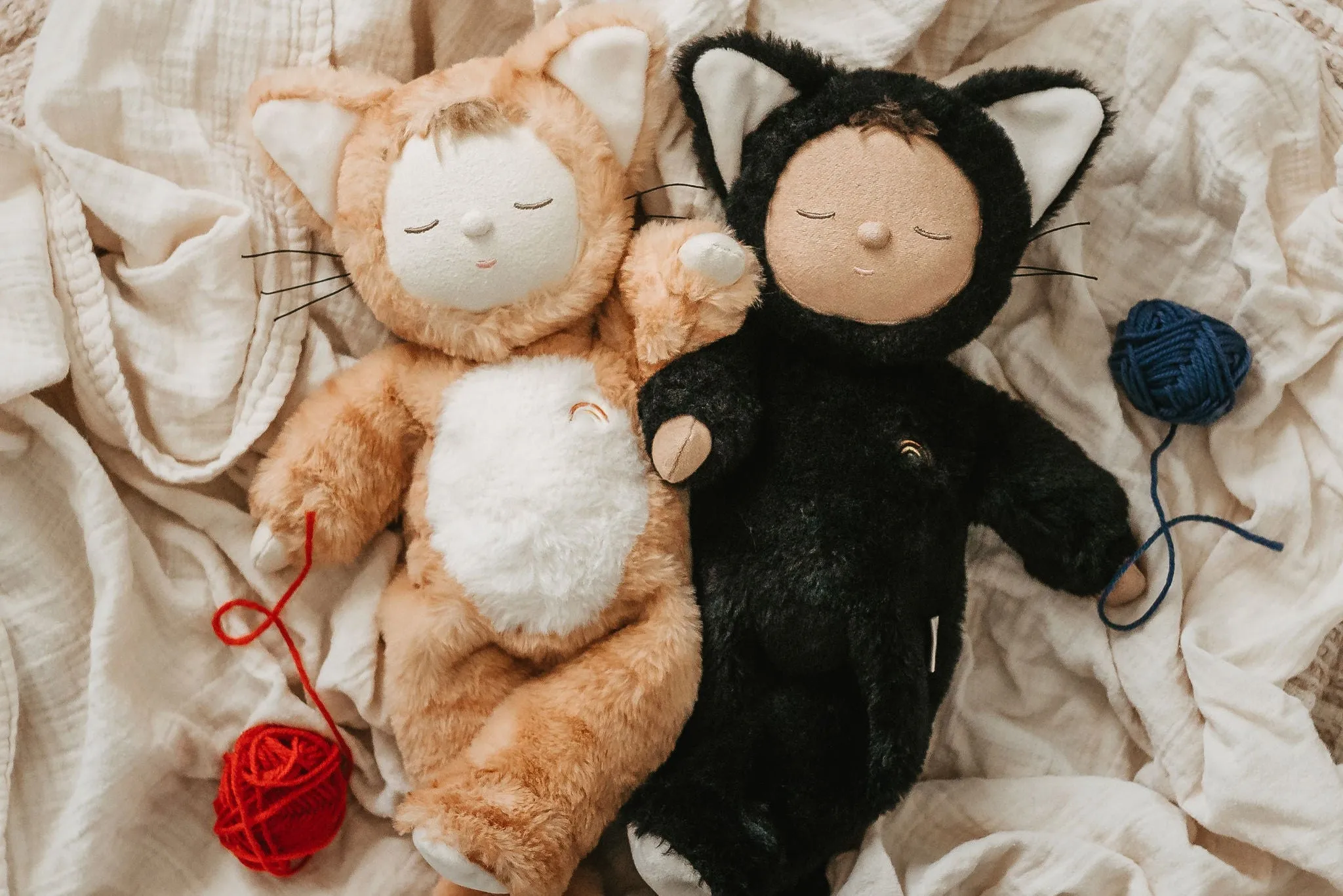 Cozy Cats - Jinx
