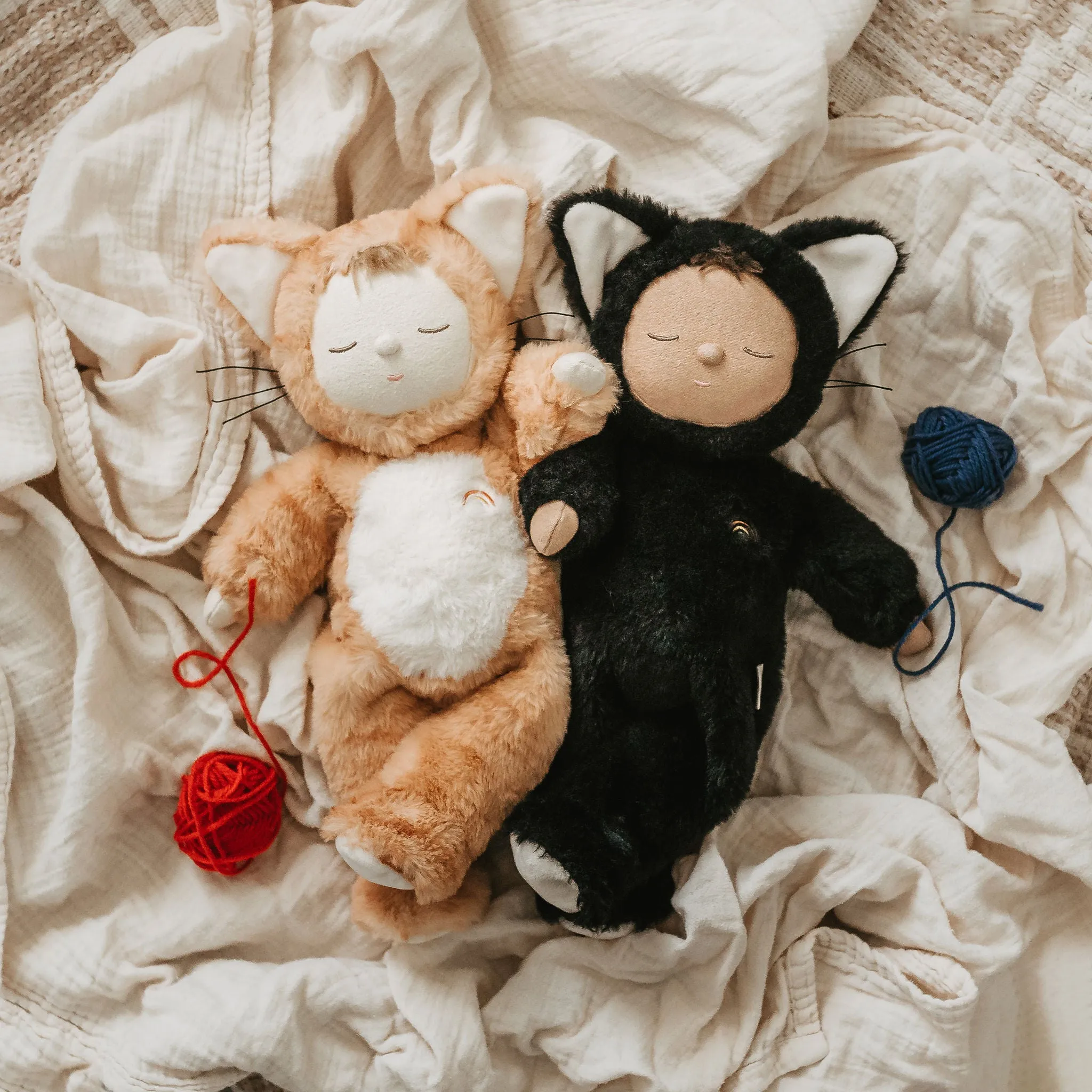 Cozy Cats - Nox