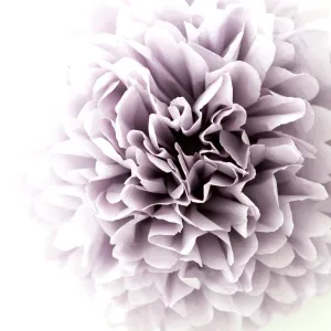Dusty purple tissue paper pom pom