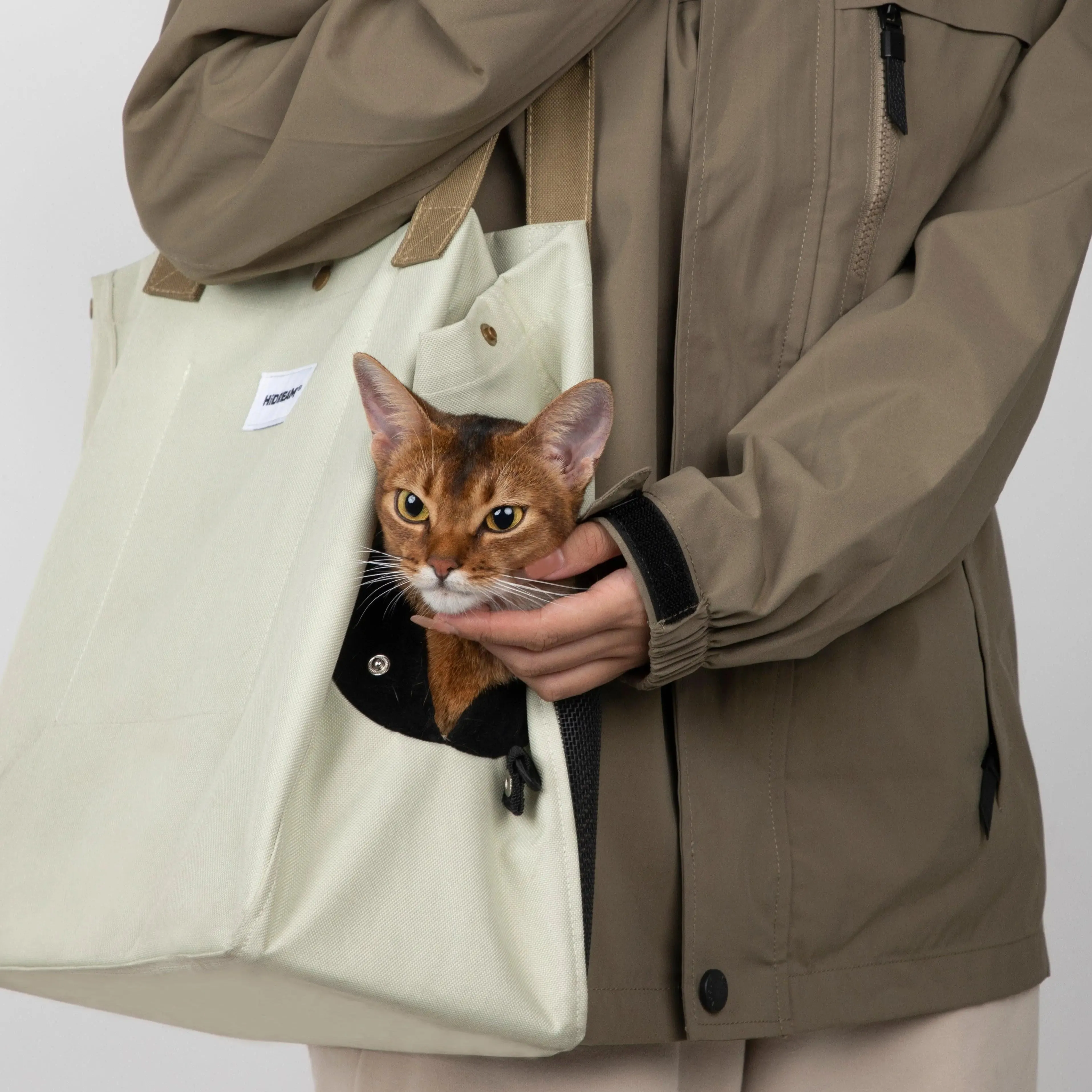 Everyday Carrier Tote