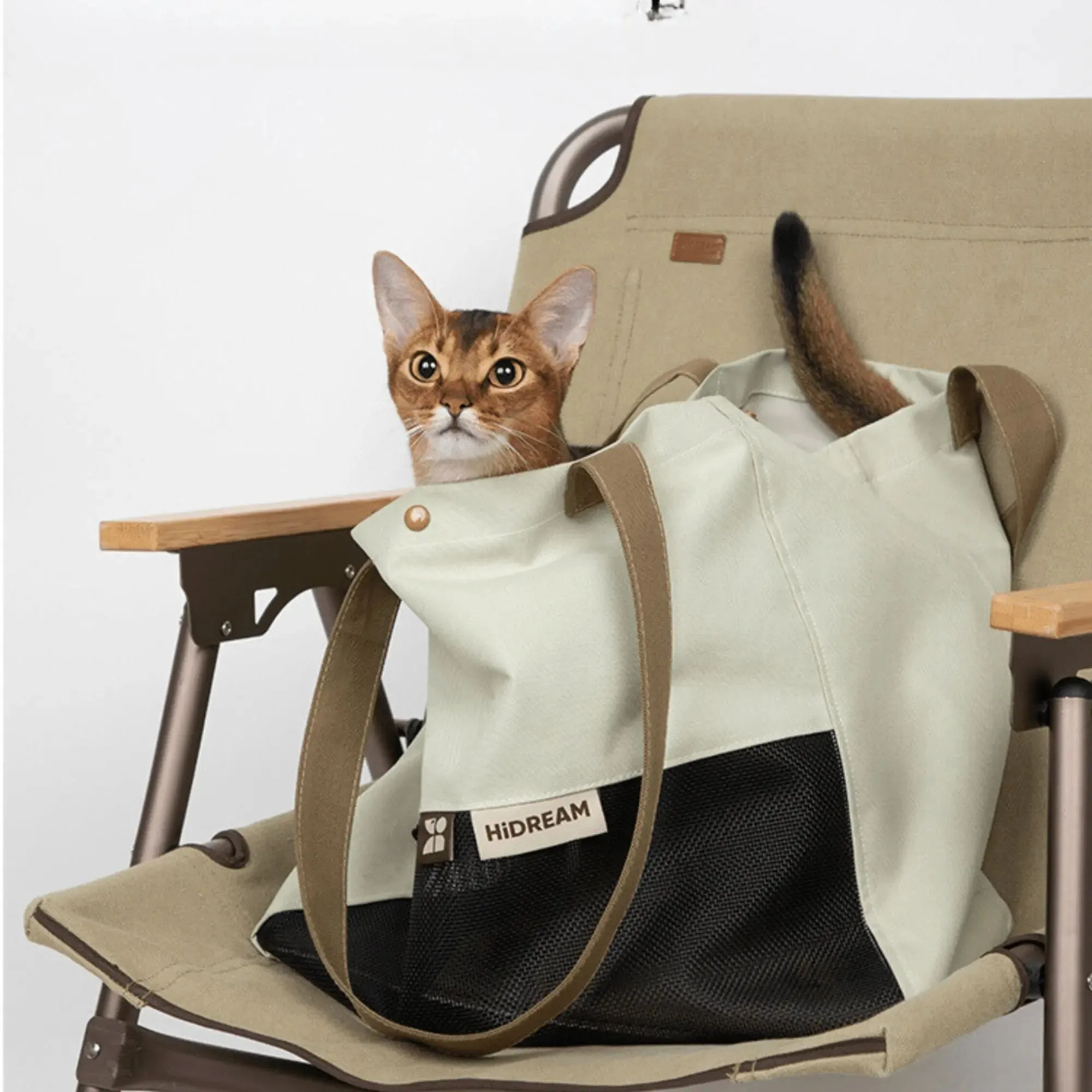 Everyday Carrier Tote