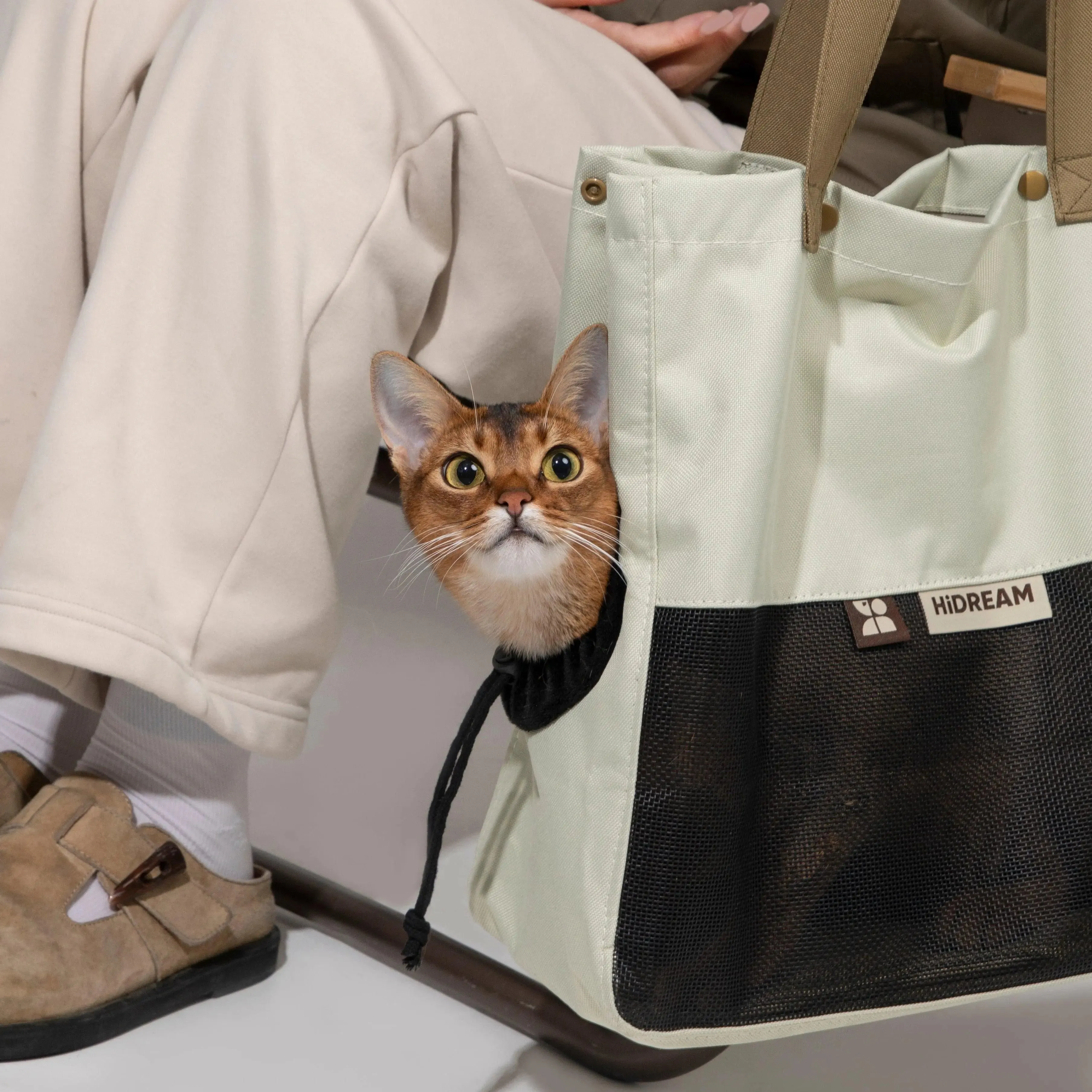 Everyday Carrier Tote