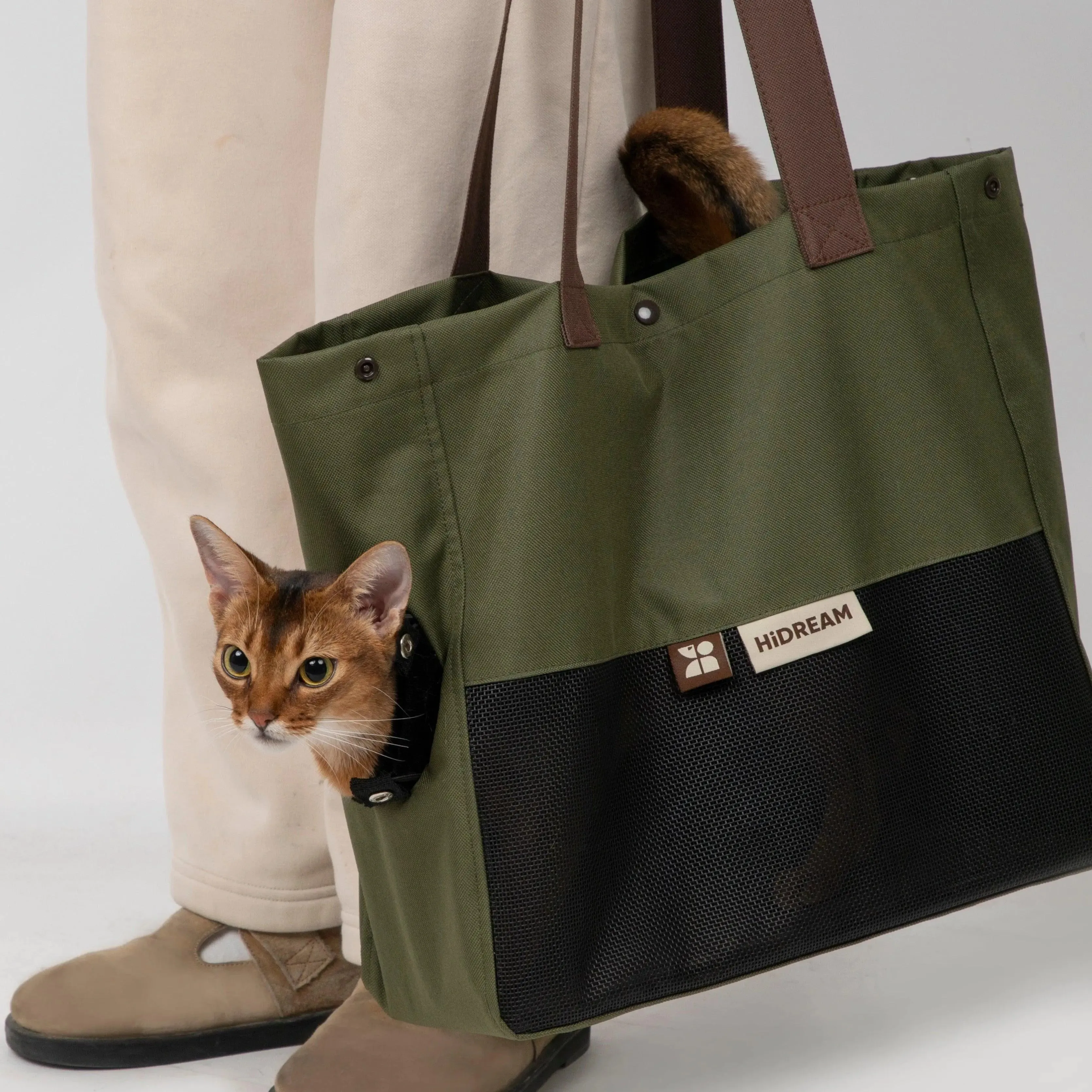Everyday Carrier Tote