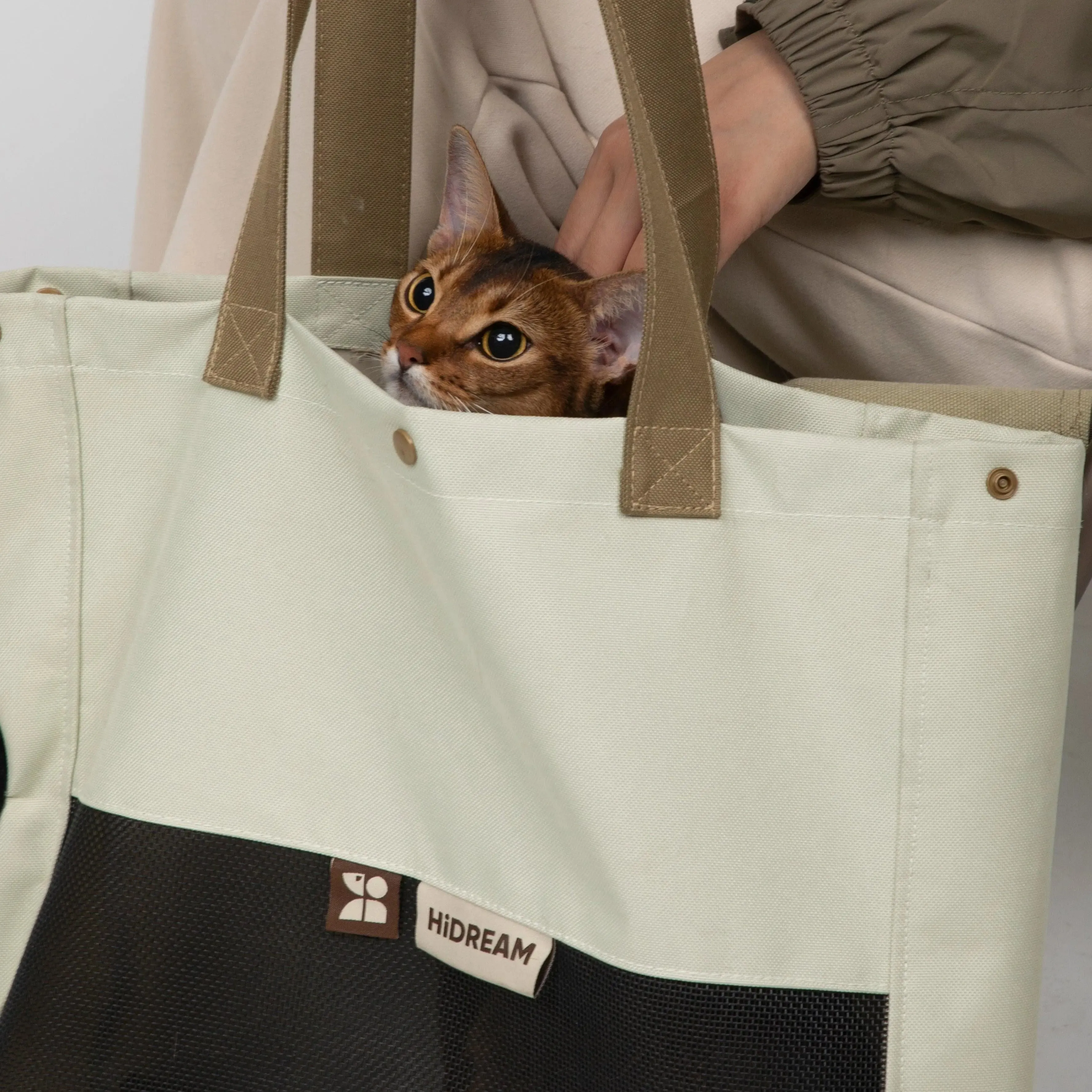 Everyday Carrier Tote