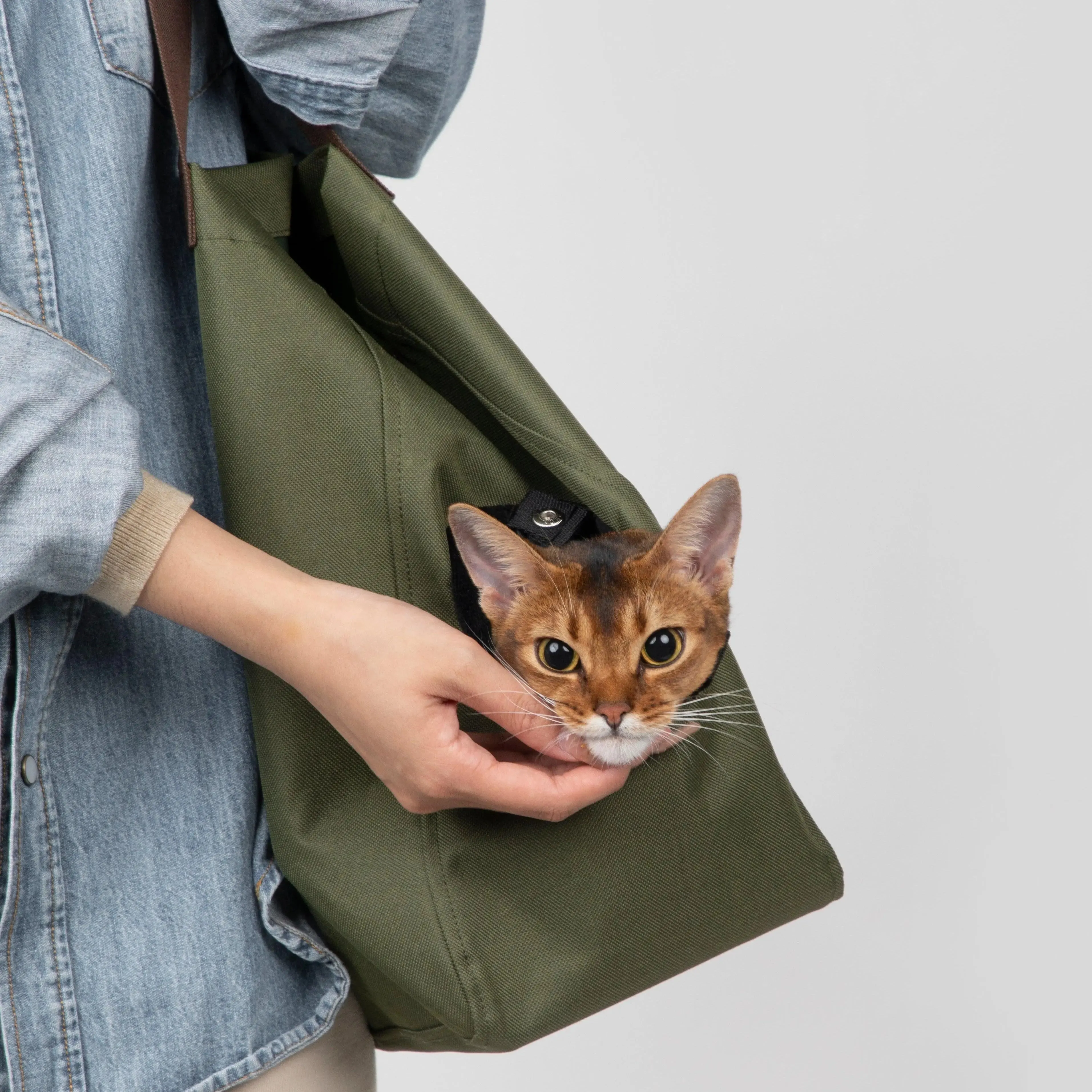 Everyday Carrier Tote