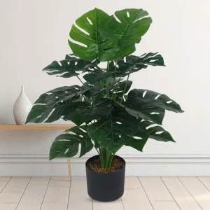 Faux Lush Delisocia Monstera Plant With Pot - 2.6 Feet