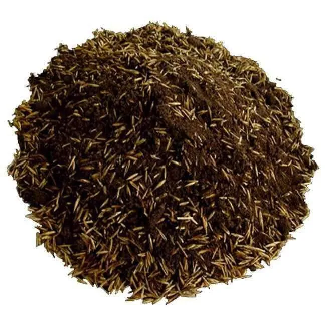 Fill & Fix Lawn Patch Repair Blend