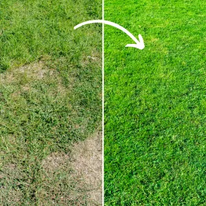 Fill & Fix Lawn Patch Repair Blend