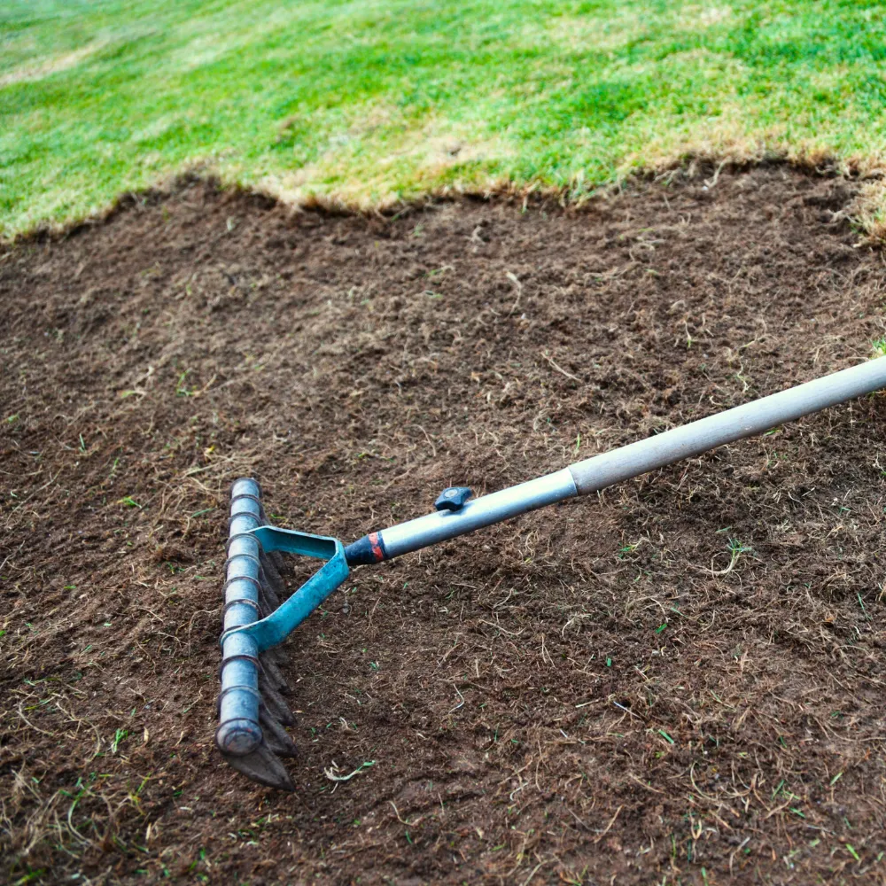 Fill & Fix Lawn Patch Repair Blend