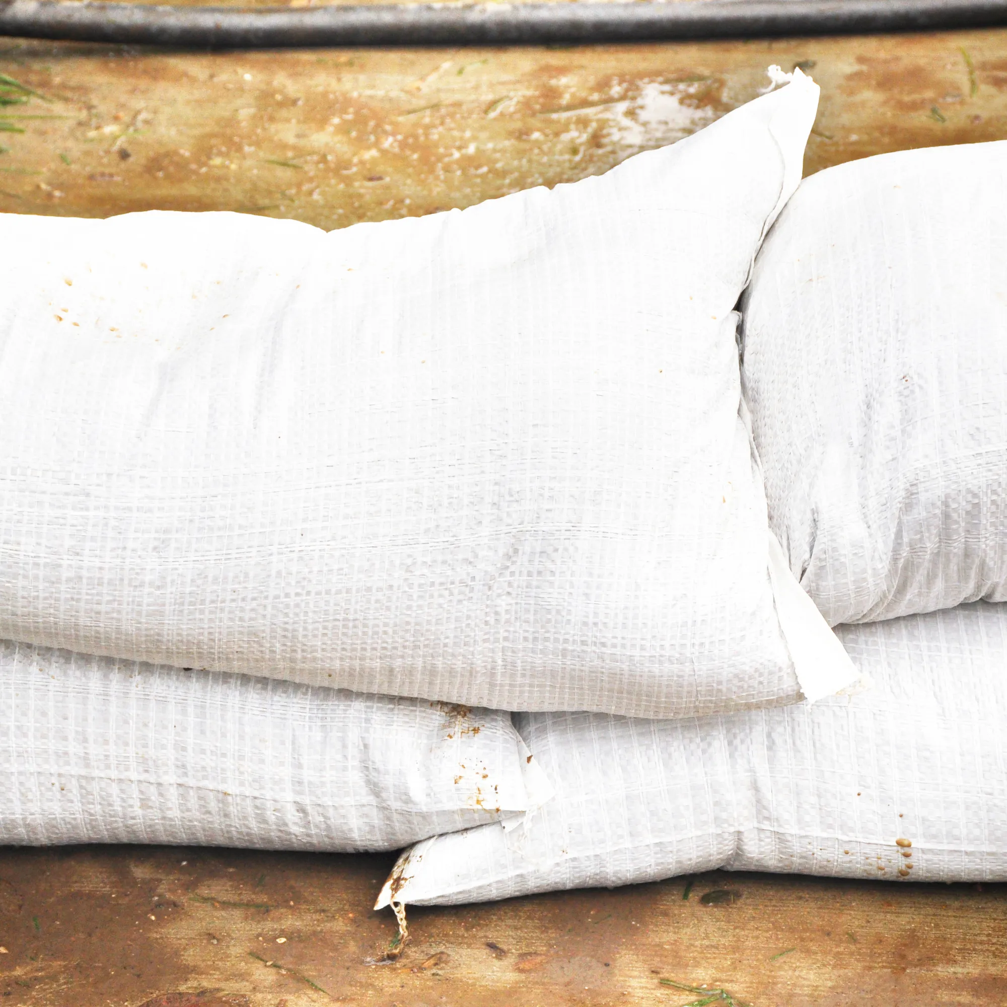 Filled Flood Sandbags