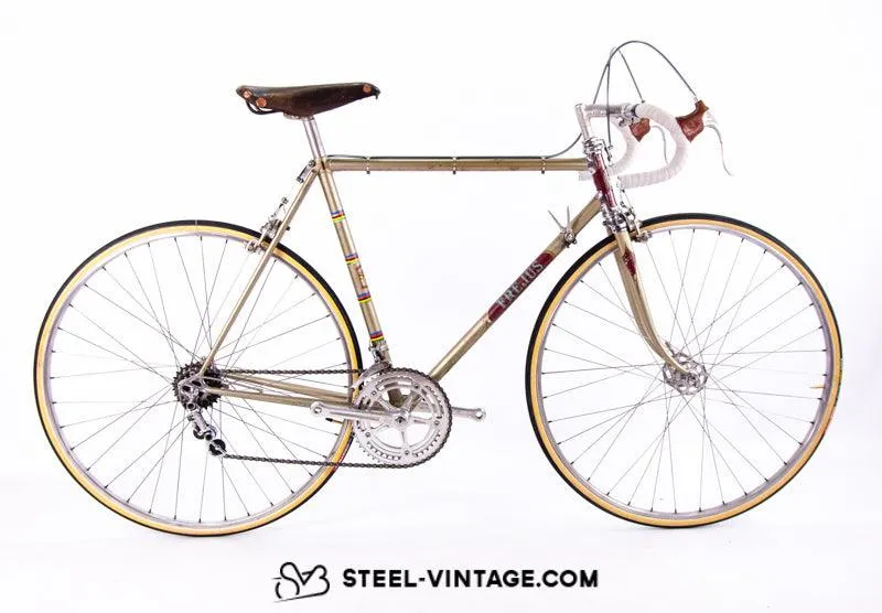 Frejus Vintage Road bike 1963