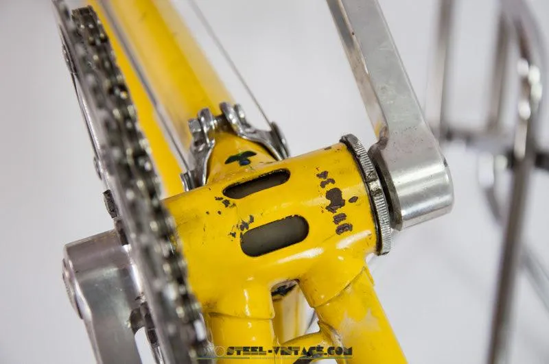 Grandis Campione del Mondo Female Bicycle