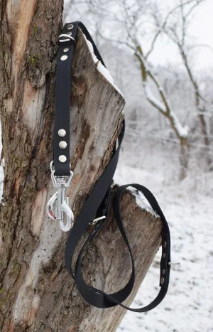 Hexa Bio Adjustable Dog Leash