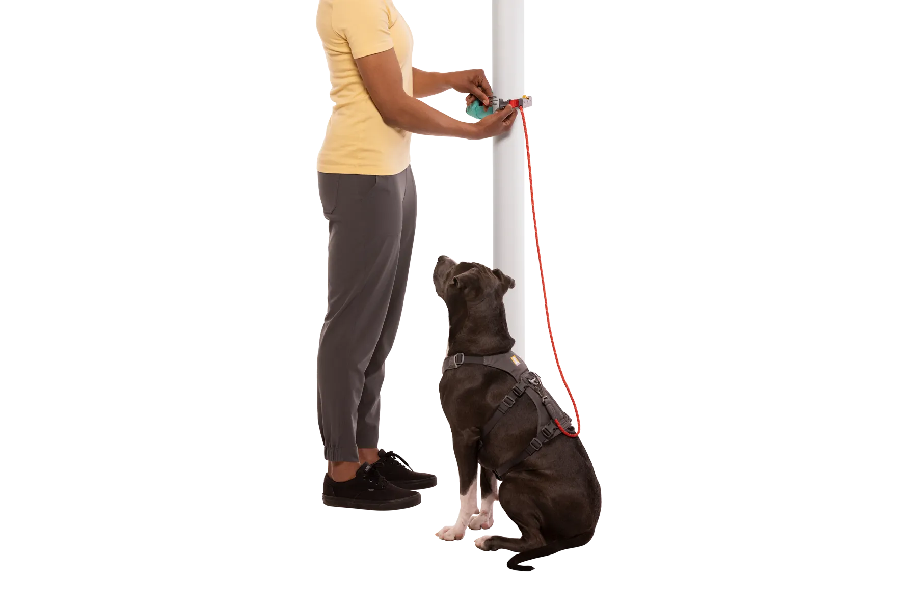 Hitch Hiker™ Dog Lead