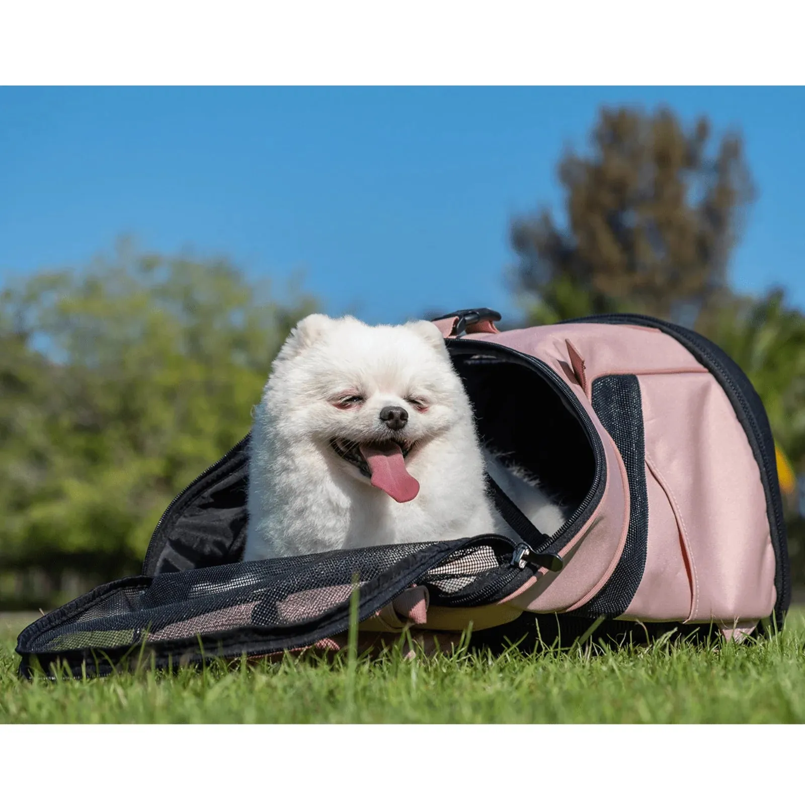 Ibiyaya Ultralight Backpack Dog/Cat Pet Carrier - Coral Pink