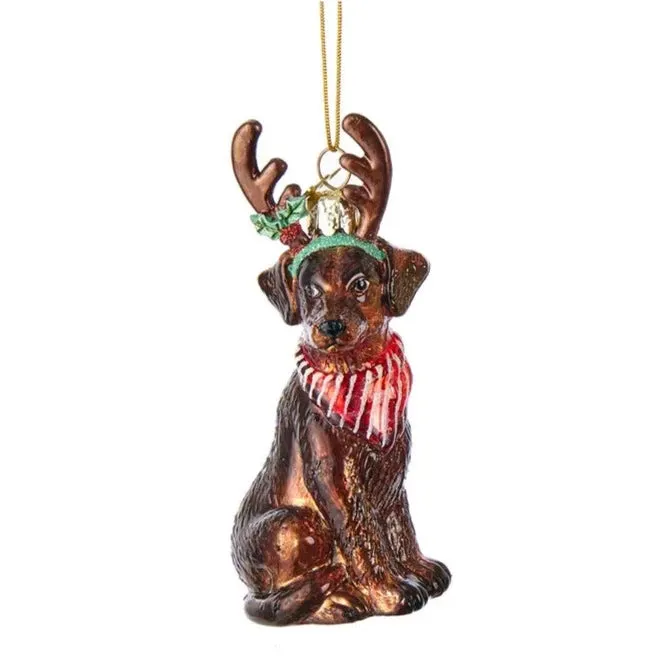 Kurt Adler Chocolate Labrador with Antlers Glass Ornament