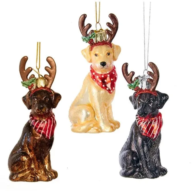 Kurt Adler Chocolate Labrador with Antlers Glass Ornament
