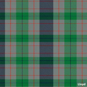 Lloyd (Welsh Rare)