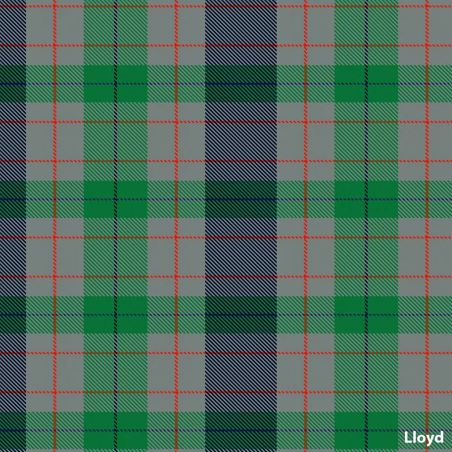 Lloyd (Welsh Rare)