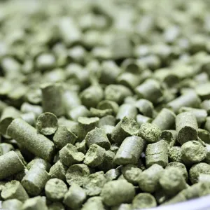 Loral Hops