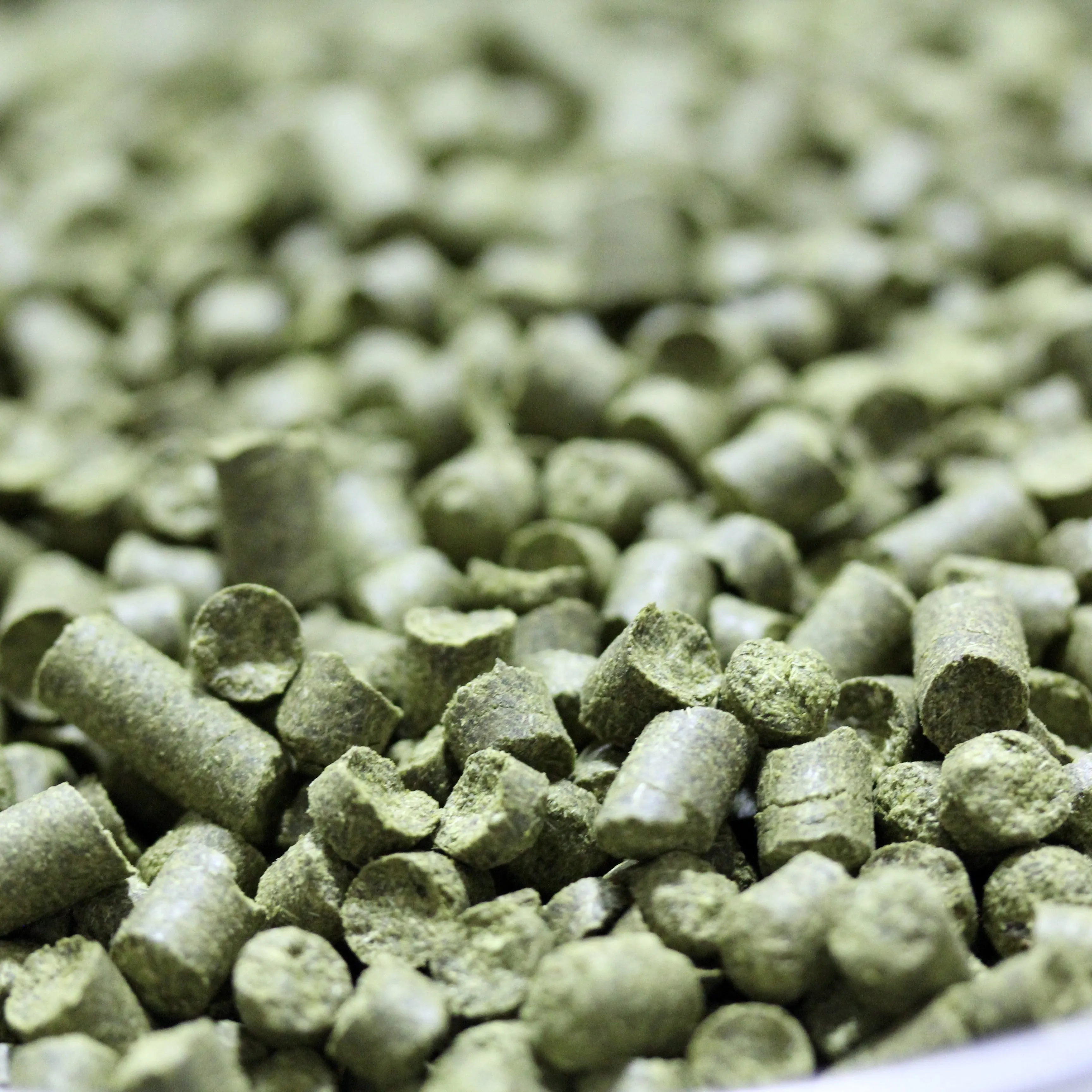 Loral Hops