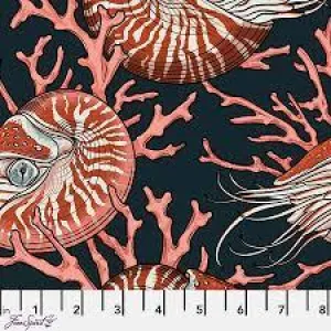 Mariana Noble Nautilus by Rachel Hauer