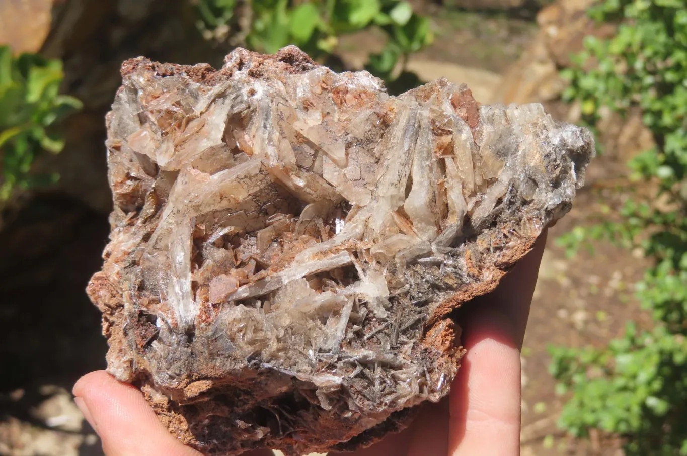 Natural Bladed Barite Specimens x 3 From Congo