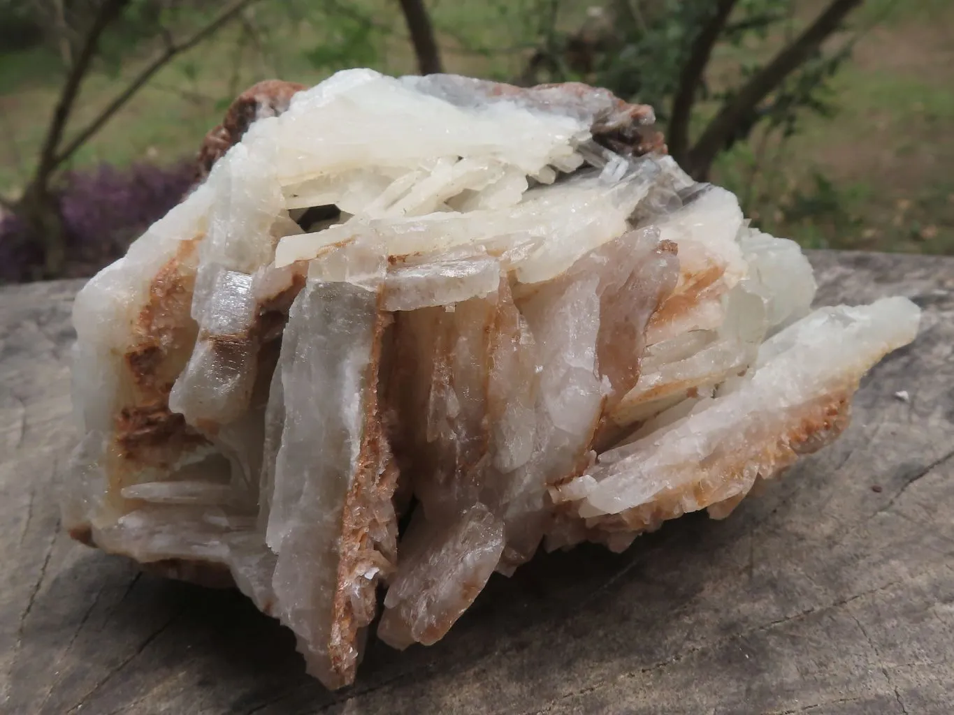 Natural Rare Bladed Barite Specimens x 2 From Congo