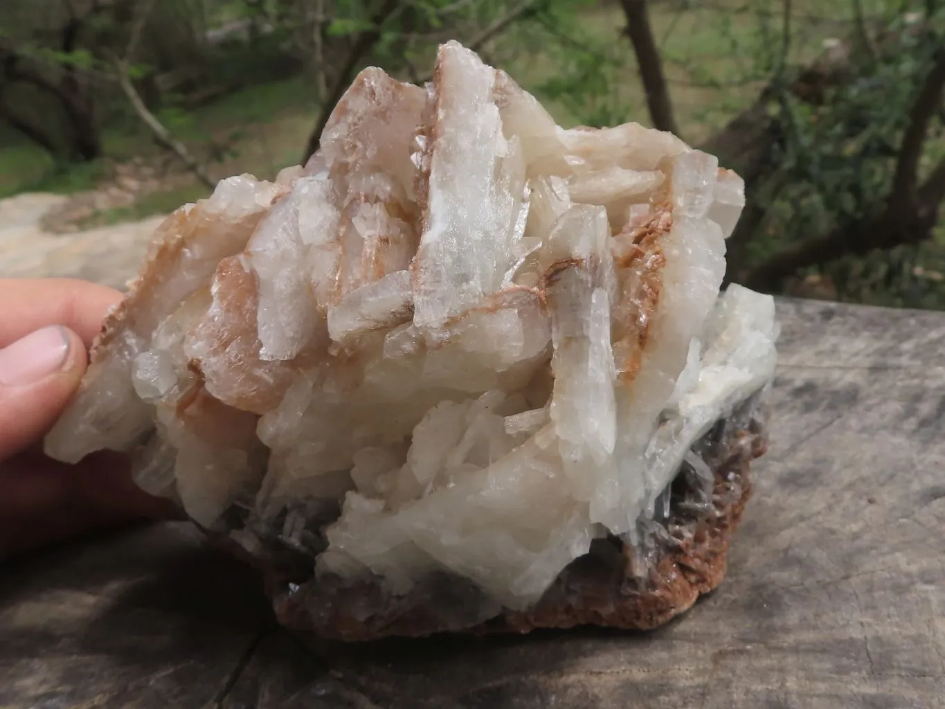 Natural Rare Bladed Barite Specimens x 2 From Congo