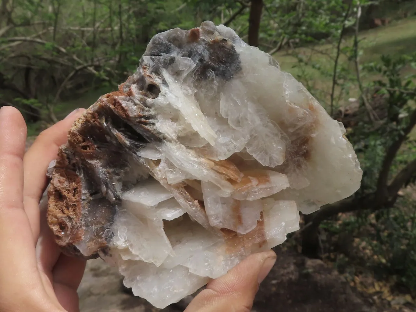 Natural Rare Bladed Barite Specimens x 2 From Congo