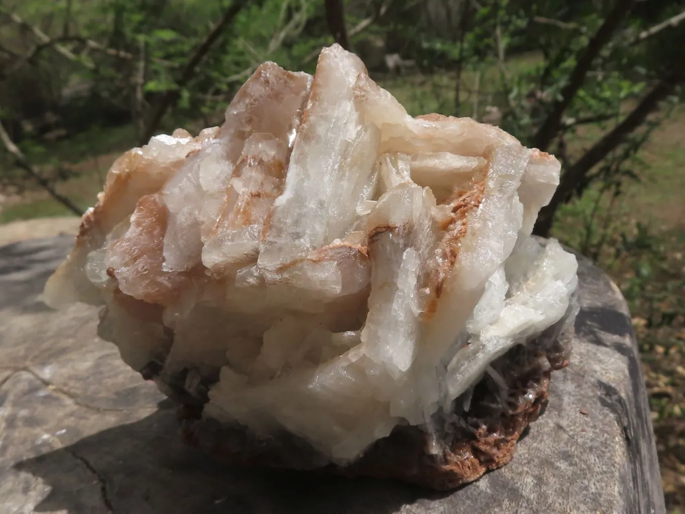 Natural Rare Bladed Barite Specimens x 2 From Congo