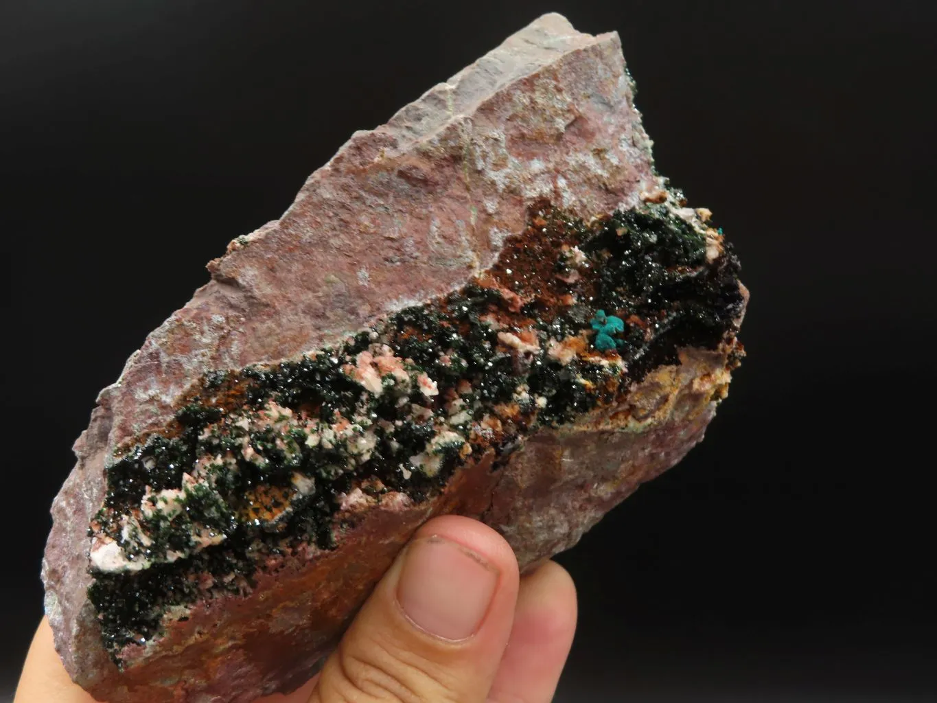 Natural Rare Copper Phosphate Libethenite On Dolomite Clusters x 3 From Shituru, Congo
