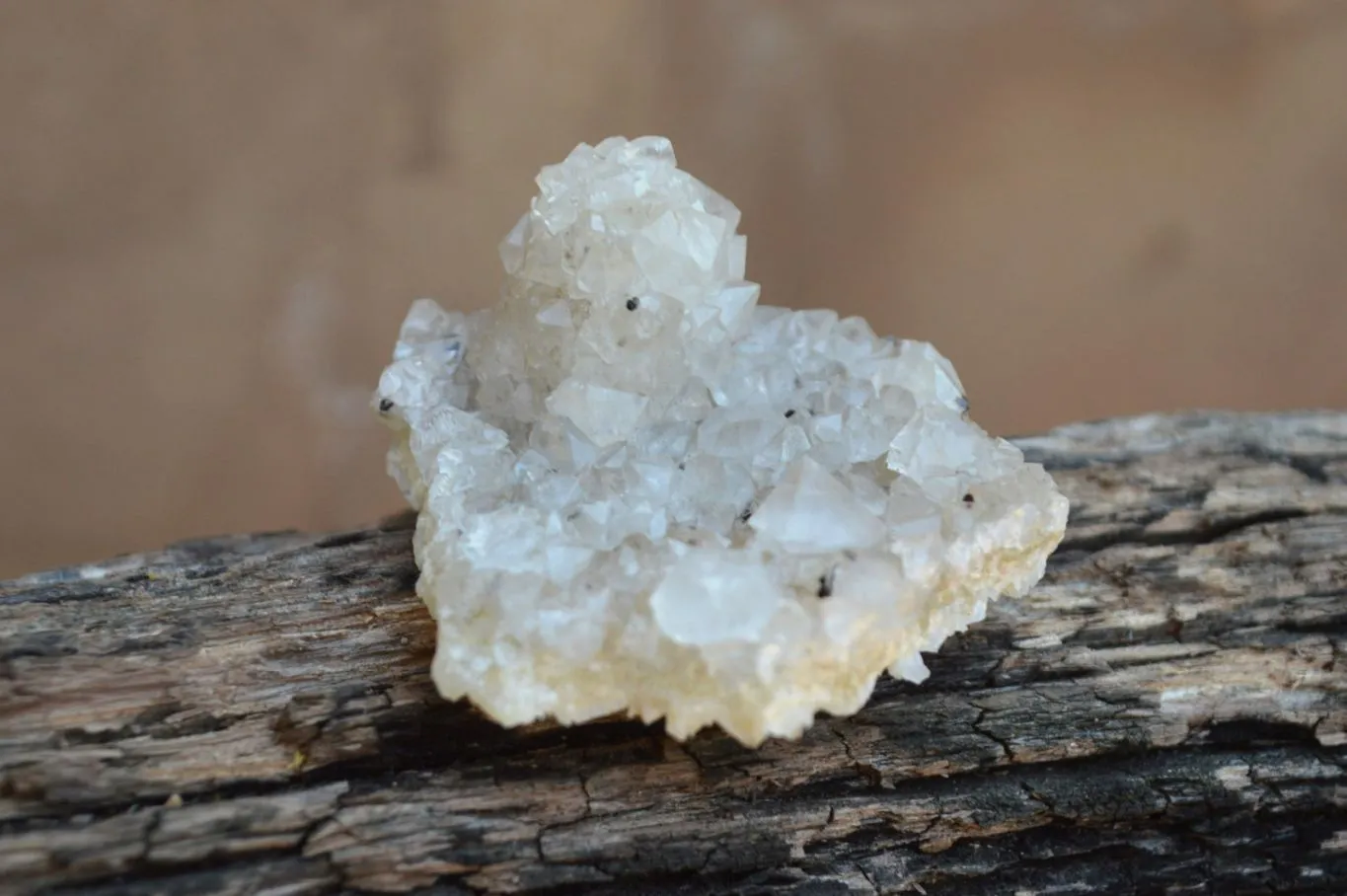 Natural Rare Hollow "Snow" Quartz Specimens (Some With Dog Tooth Calcite Crystals) x 24 From Albert's Mountain, Lesotho