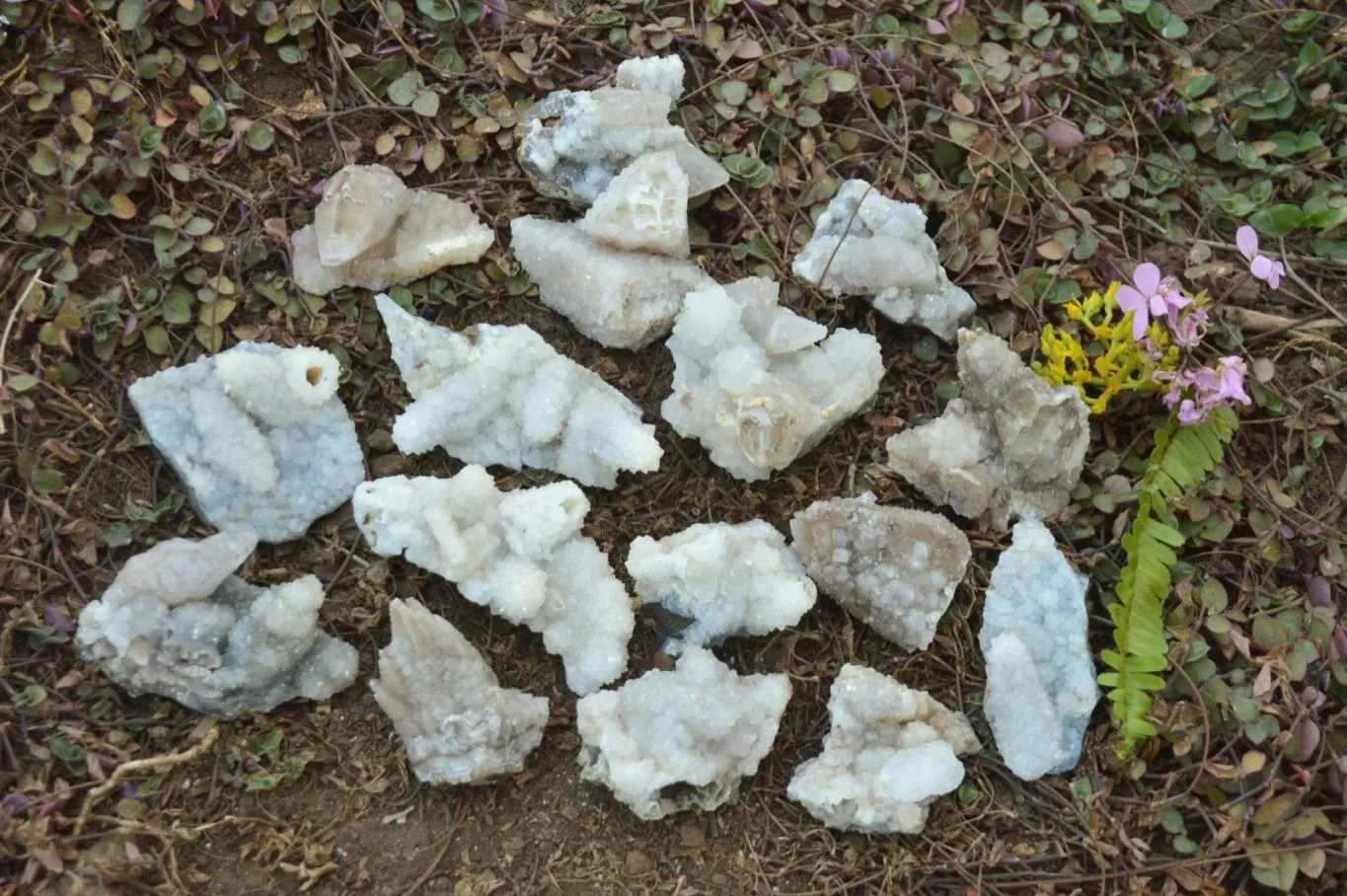 Natural Rare Hollow "Snow" Quartz Specimens (Some With Dog Tooth Calcite Crystals) x 24 From Albert's Mountain, Lesotho