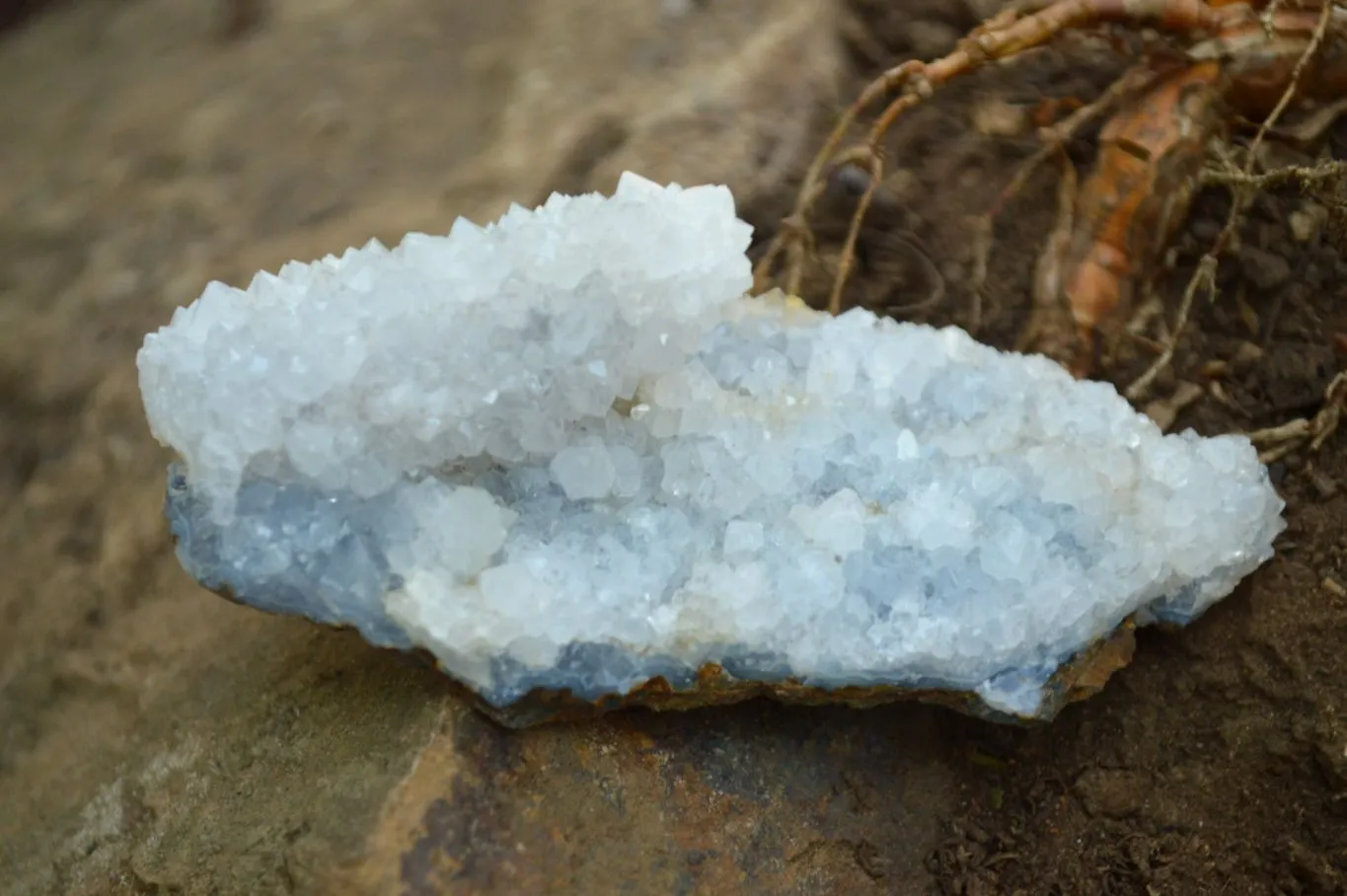 Natural Rare Hollow "Snow" Quartz Specimens (Some With Dog Tooth Calcite Crystals) x 24 From Albert's Mountain, Lesotho