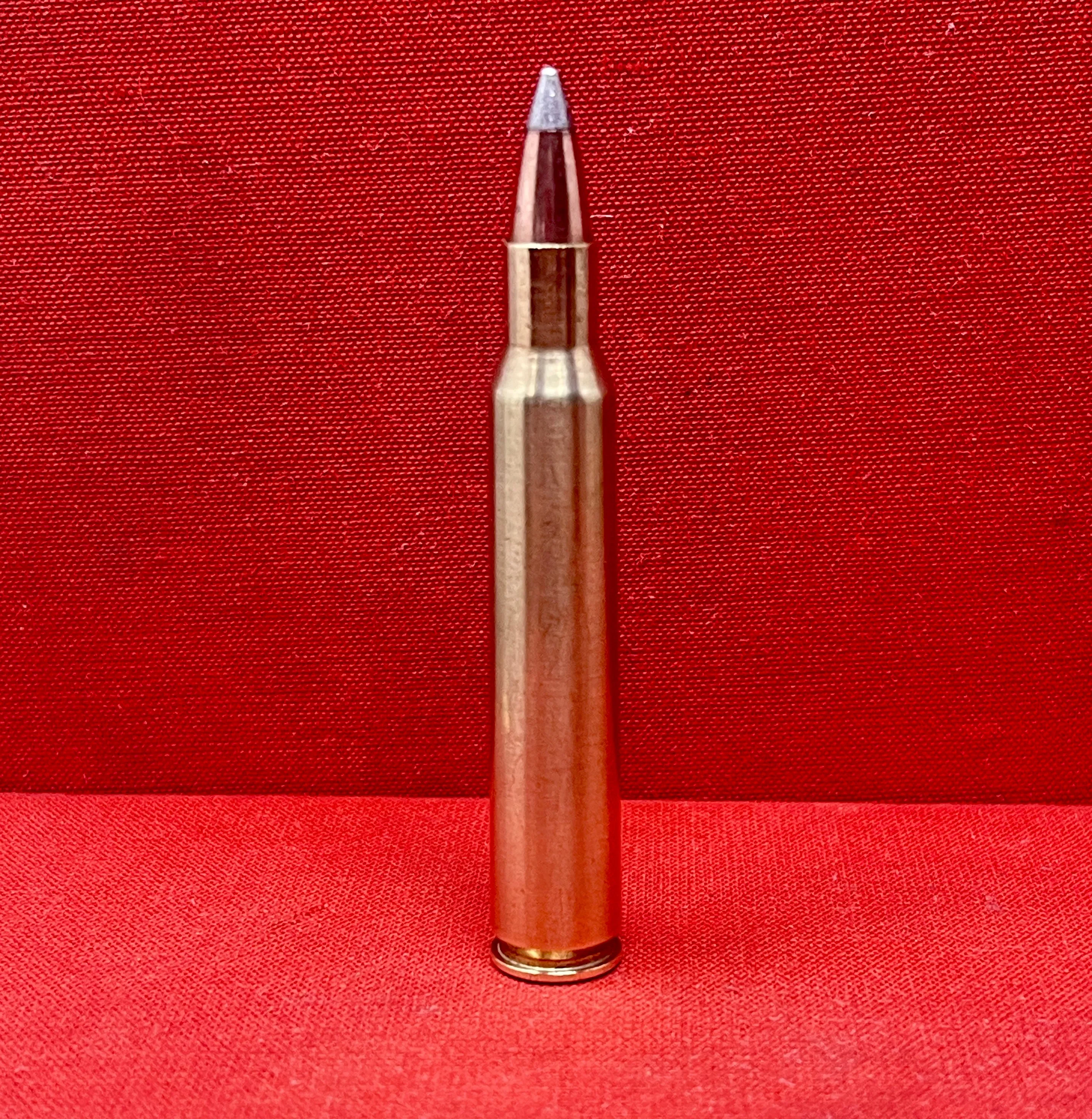 Original Norma 7x64 Inert Round - Rare Collectible Ammunition