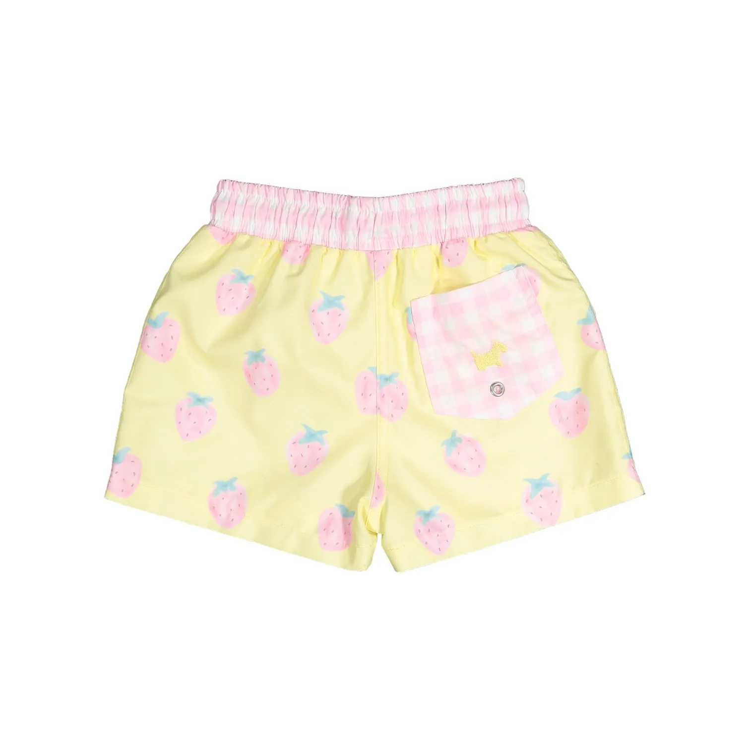 Pastel Berries Boys Trunks