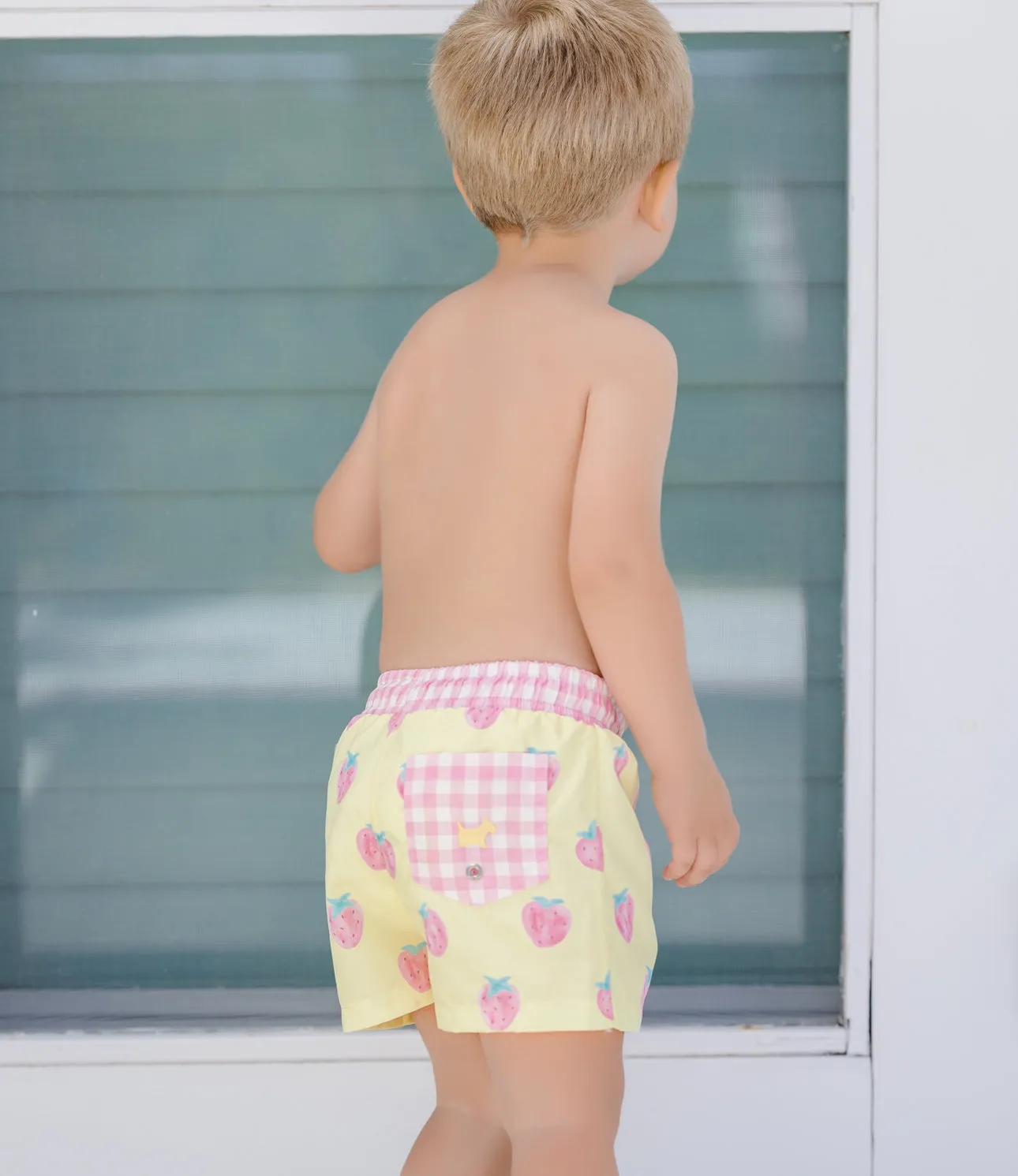 Pastel Berries Boys Trunks
