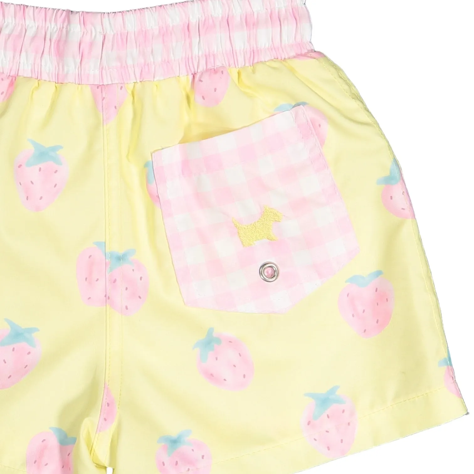 Pastel Berries Boys Trunks