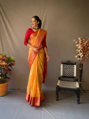 Pastel Orange Saree in Linen