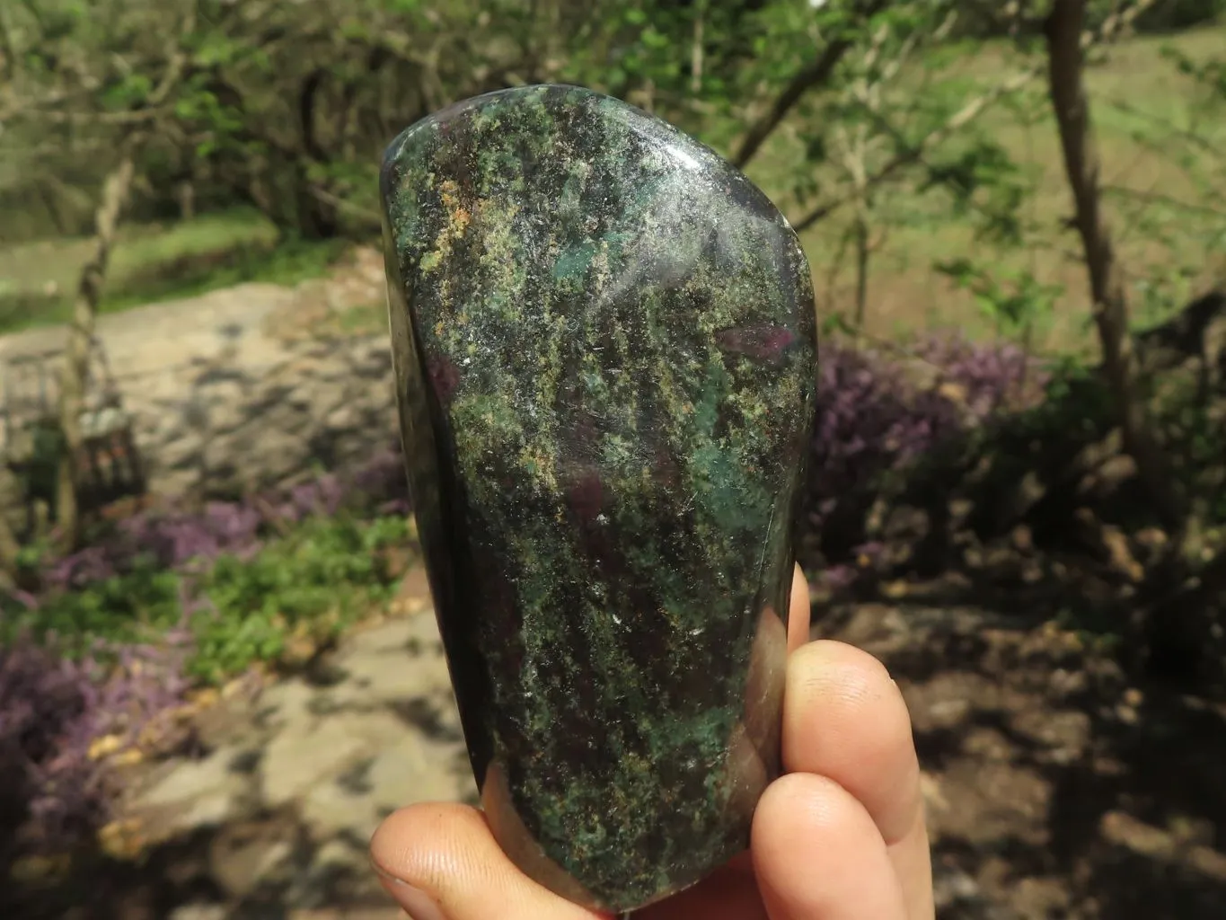 Polished Rare Fluorescent Green Verdite Ruby Corundum Free Forms x 5 From Zimbabwe