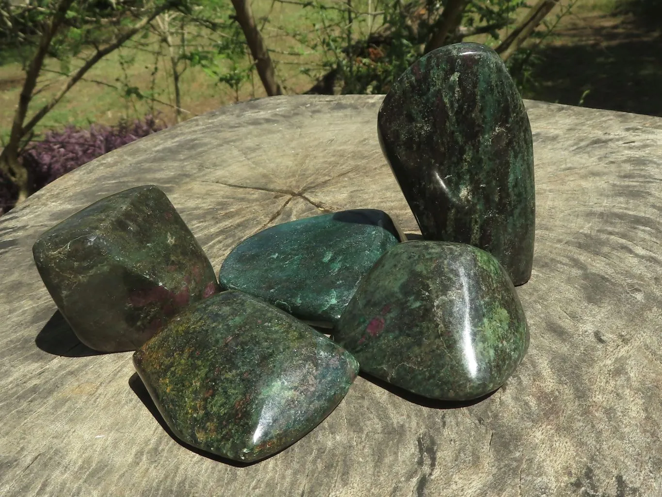 Polished Rare Fluorescent Green Verdite Ruby Corundum Free Forms x 5 From Zimbabwe