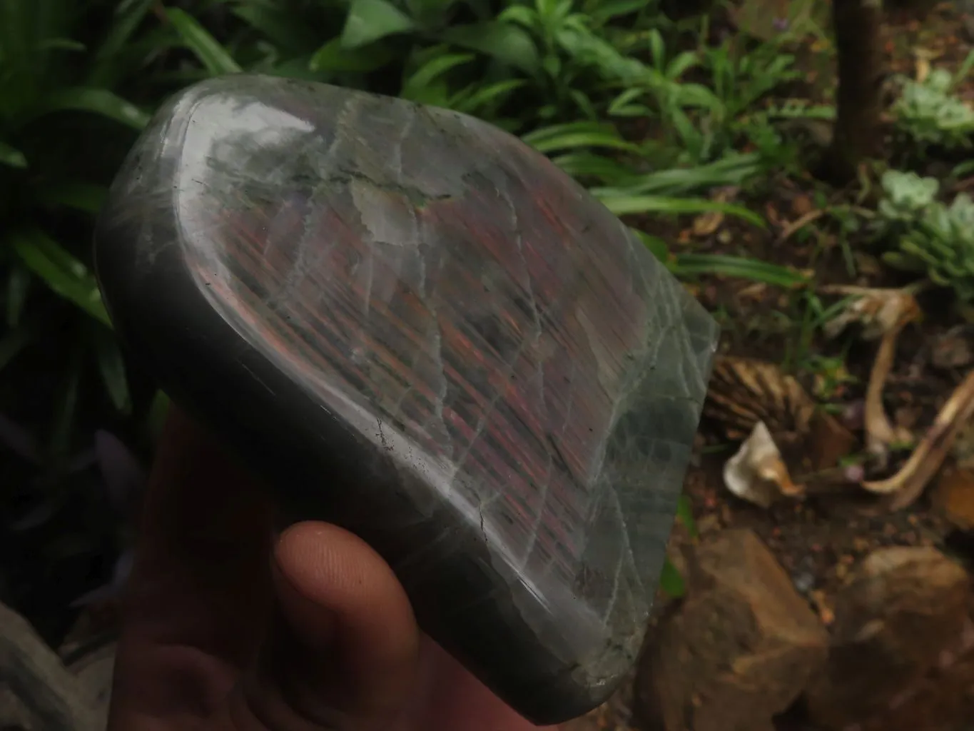 Polished Rare Purple Flash Labradorite Standing Free Forms x 2 From Tulear, Madagascar
