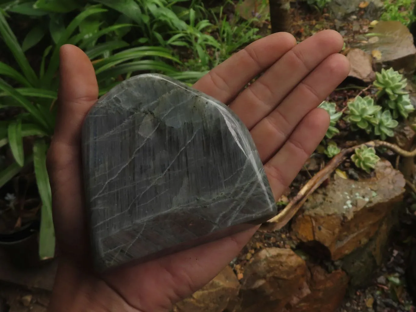 Polished Rare Purple Flash Labradorite Standing Free Forms x 2 From Tulear, Madagascar