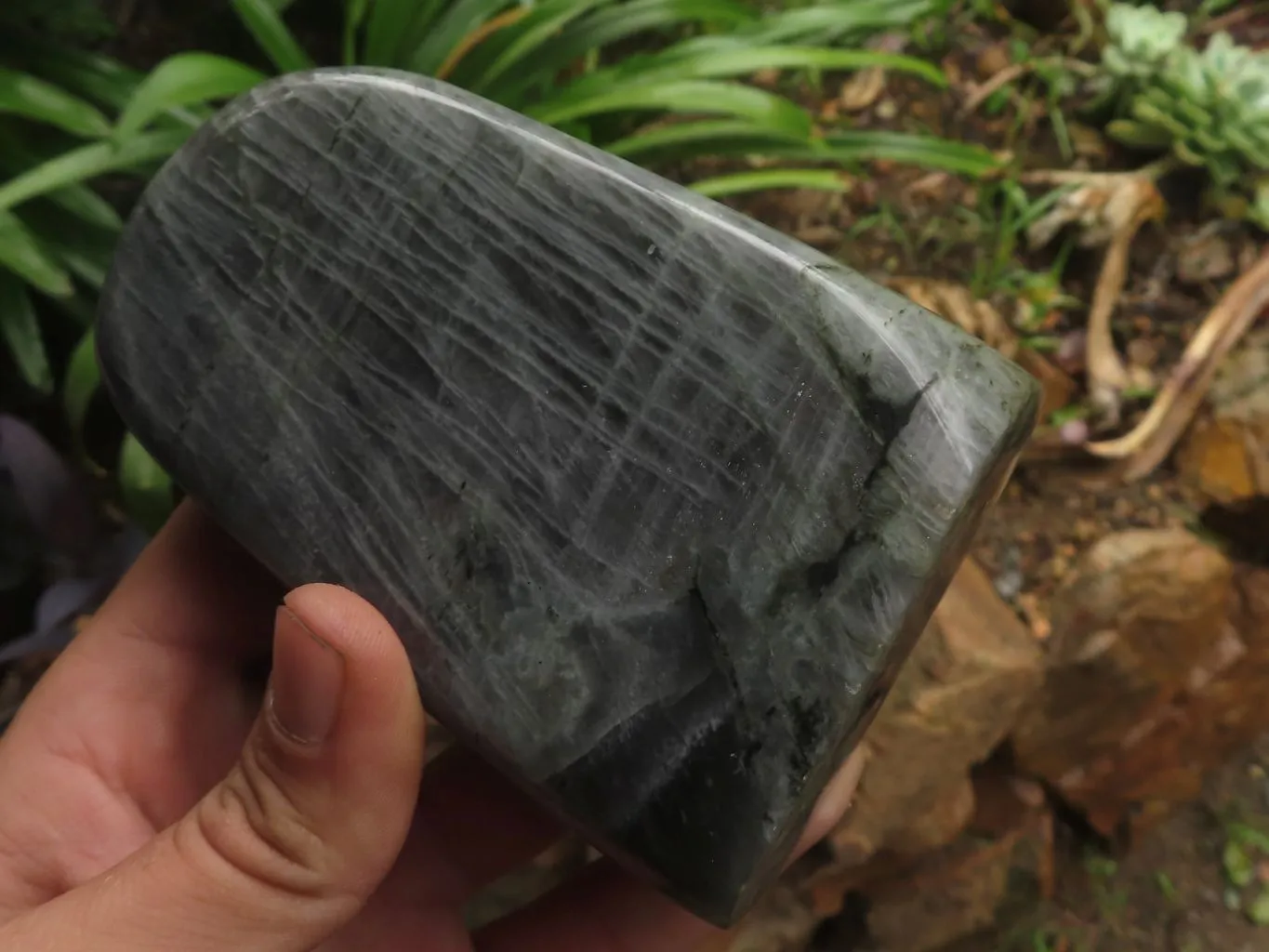 Polished Rare Purple Flash Labradorite Standing Free Forms x 2 From Tulear, Madagascar